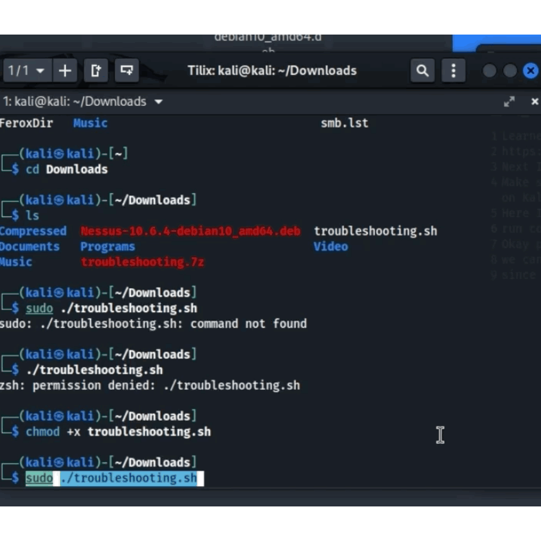 script.gif